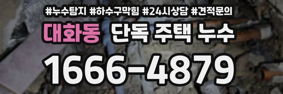 대화동 단독 주택 누수