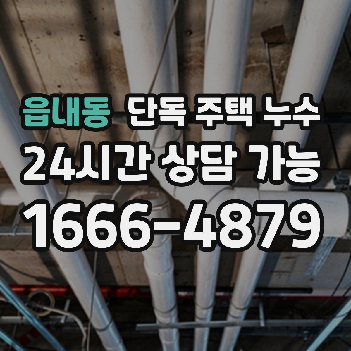 읍내동 단독 주택 누수