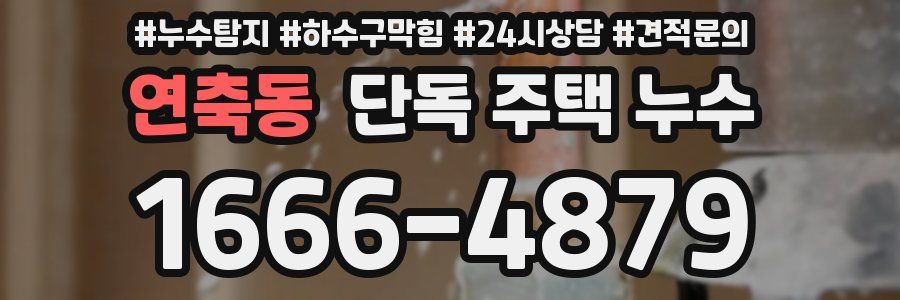 연축동 단독 주택 누수