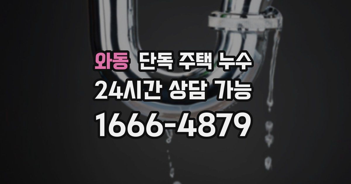 와동 단독 주택 누수