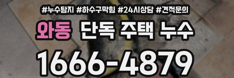와동 단독 주택 누수