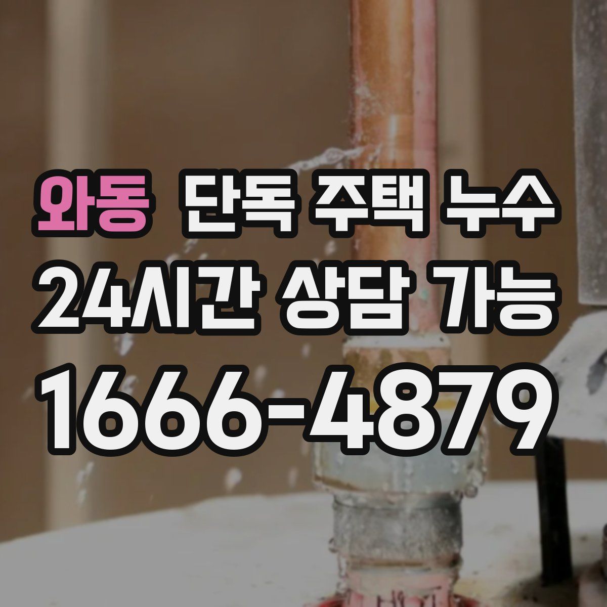 와동 단독 주택 누수