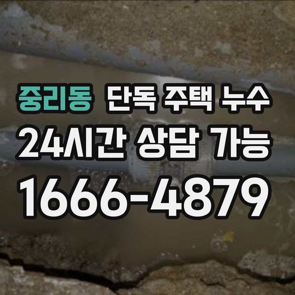 중리동 단독 주택 누수