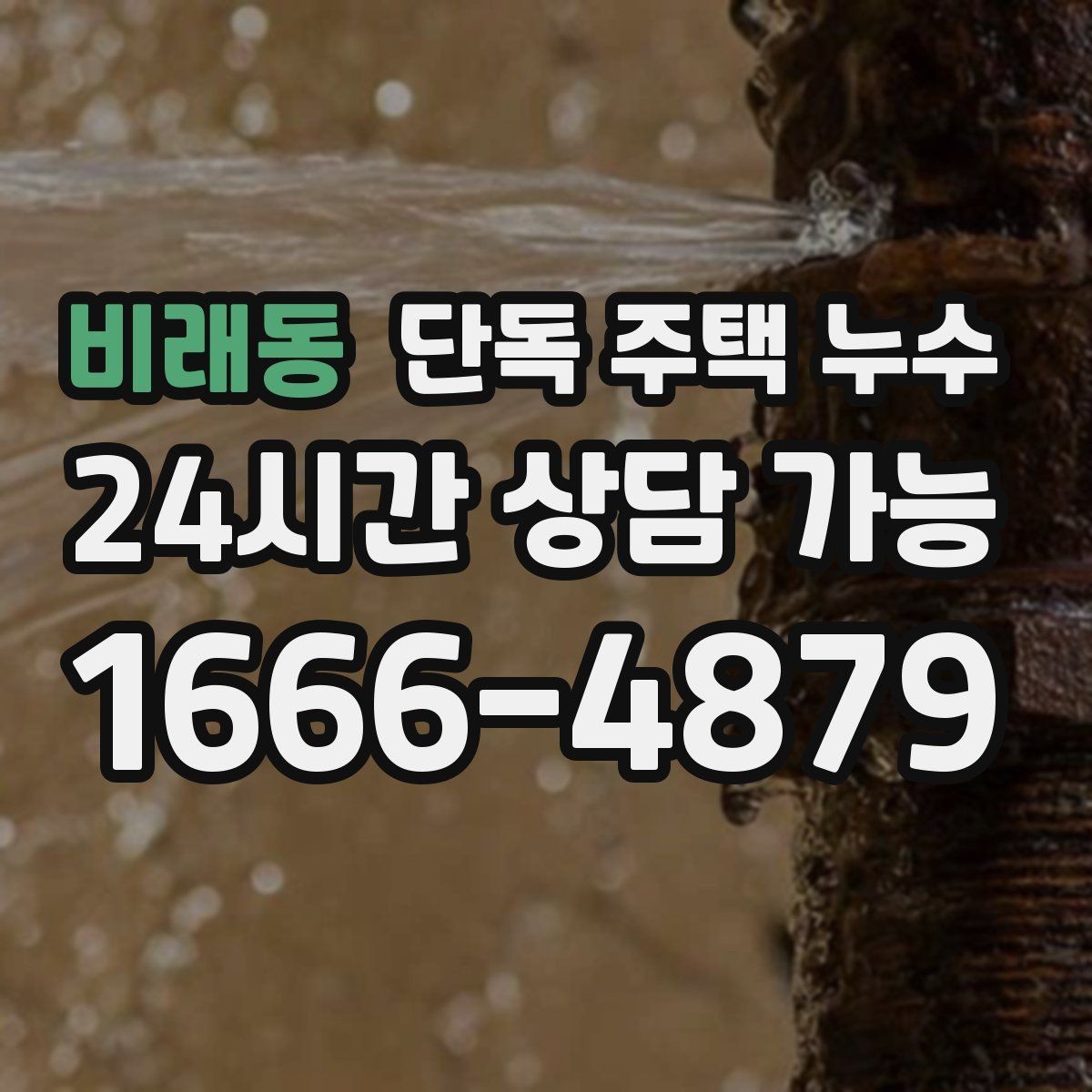 비래동 단독 주택 누수 비가 그치면 멈추는 누수의 특징