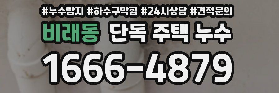 비래동 단독 주택 누수
