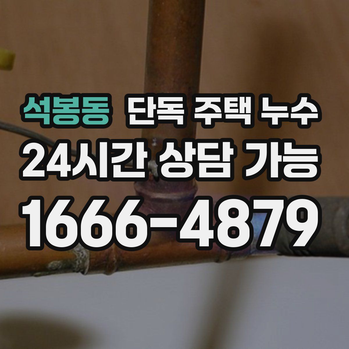 석봉동 단독 주택 누수