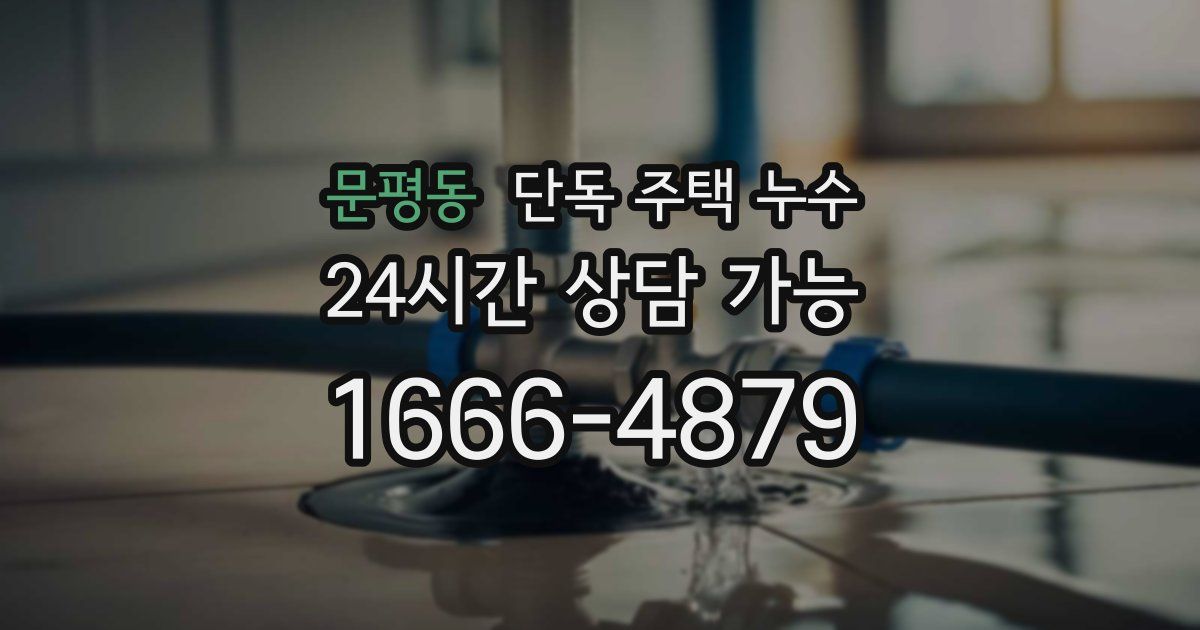 문평동 단독 주택 누수