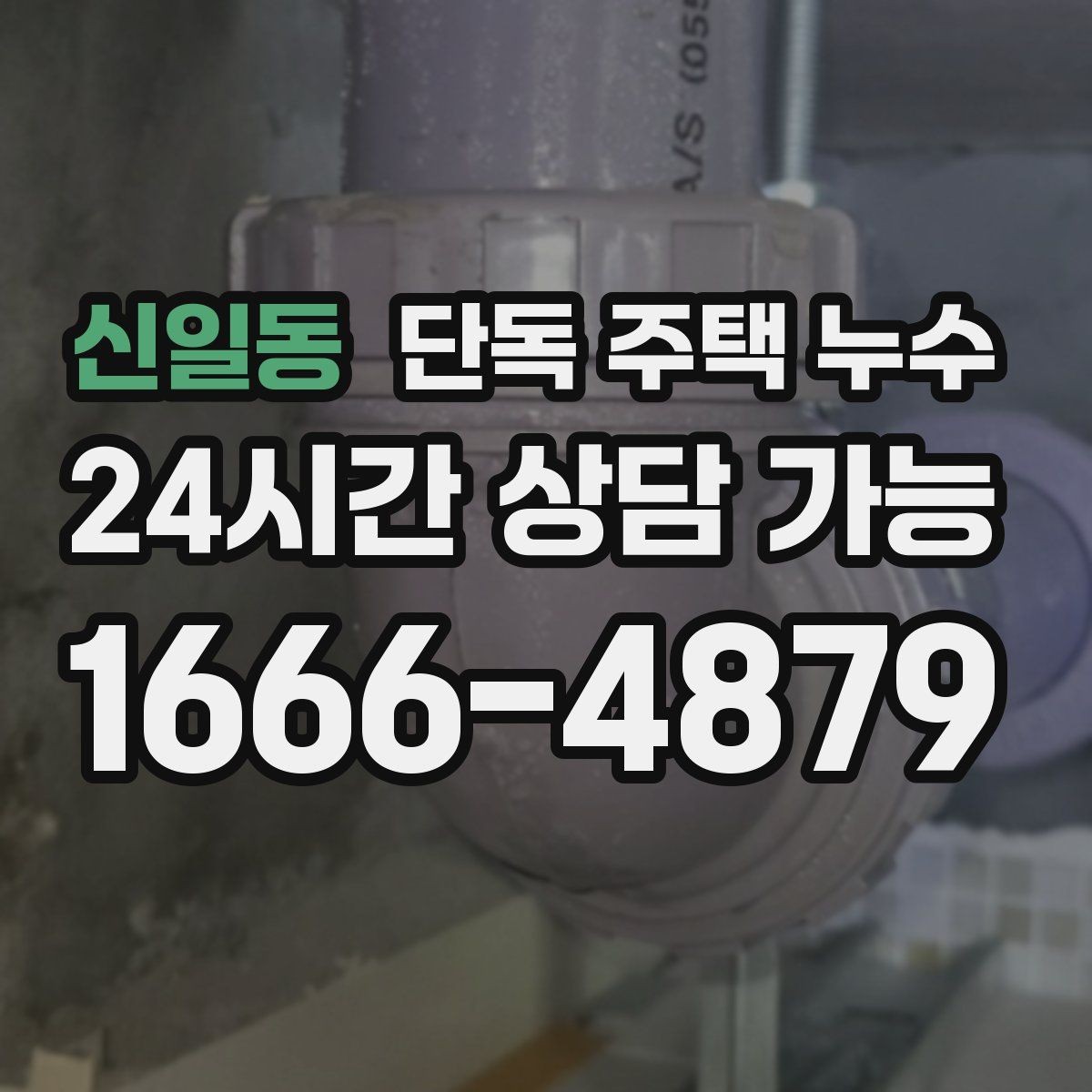 신일동 단독 주택 누수 옥상 없는 집의 방수 포인트 정리