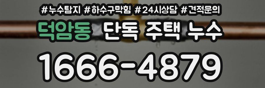 덕암동 단독 주택 누수