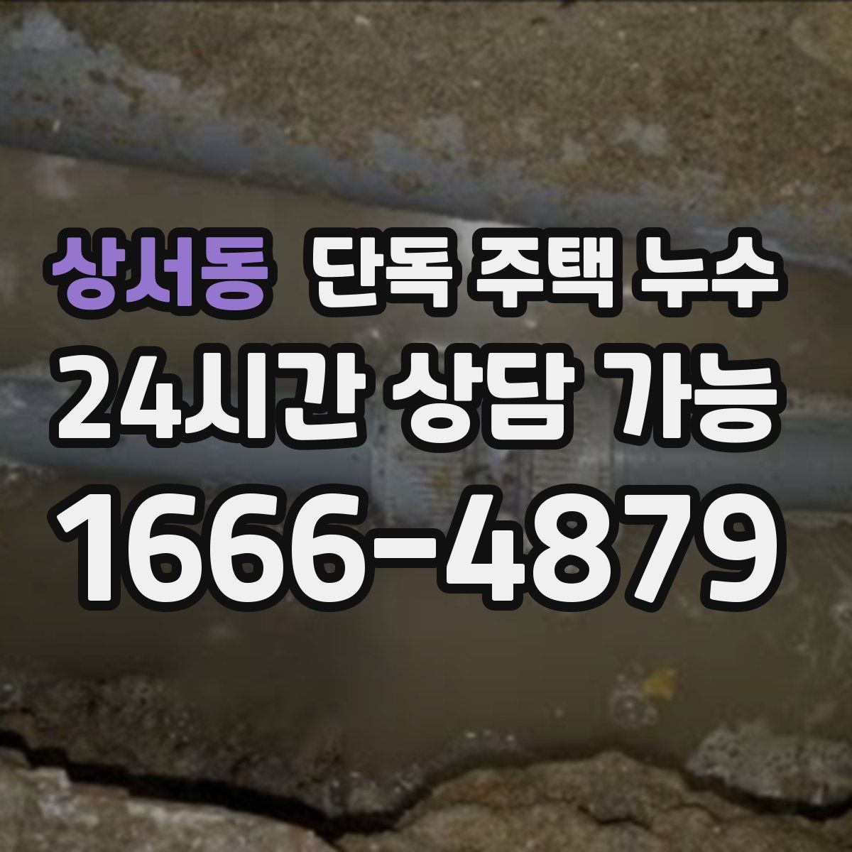 상서동 단독 주택 누수