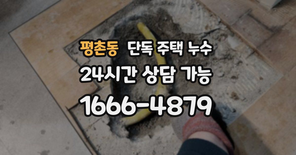 평촌동 단독 주택 누수