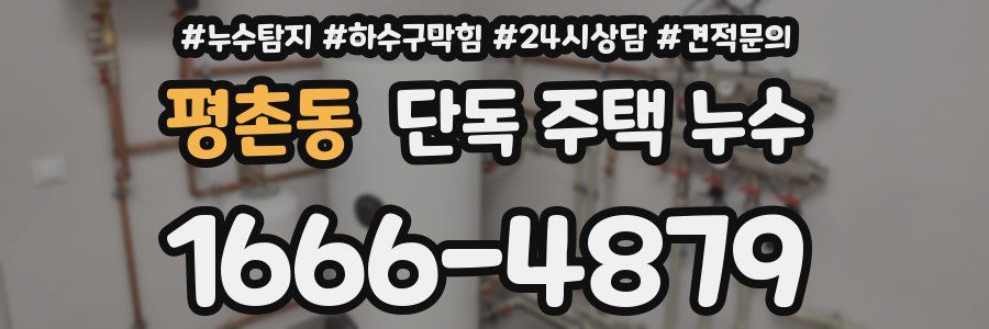 평촌동 단독 주택 누수