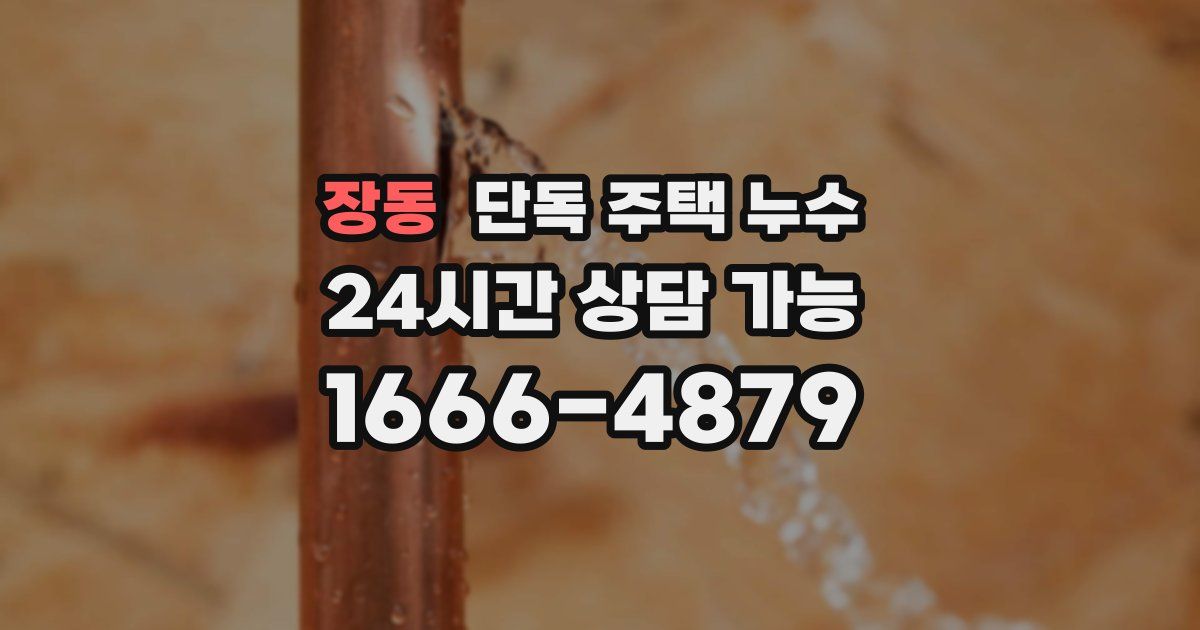 장동 단독 주택 누수
