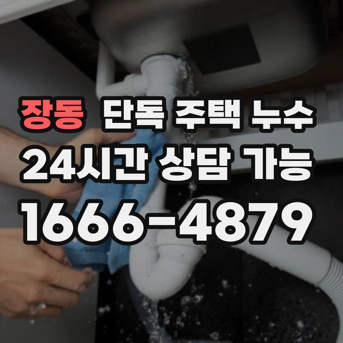 장동 단독 주택 누수