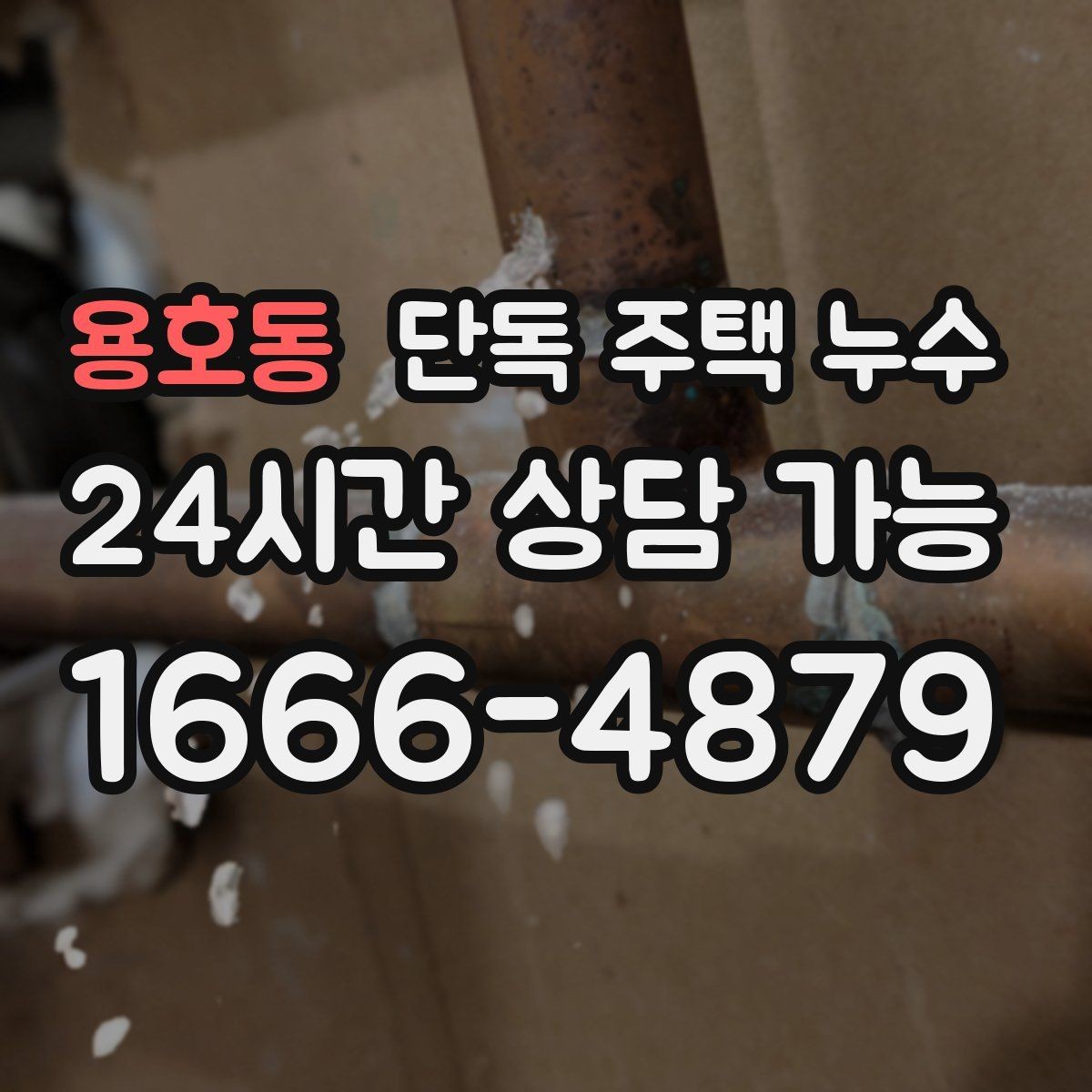 용호동 단독 주택 누수 욕실 실리콘이 검게 변하면 점검할 것