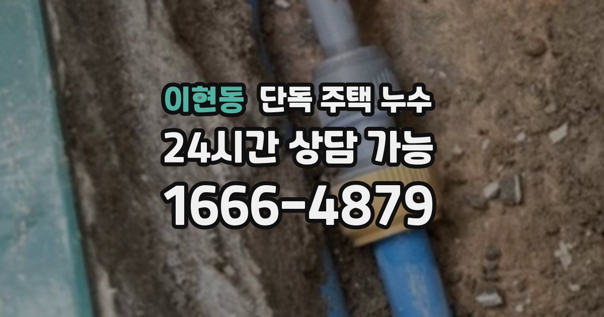 이현동 단독 주택 누수