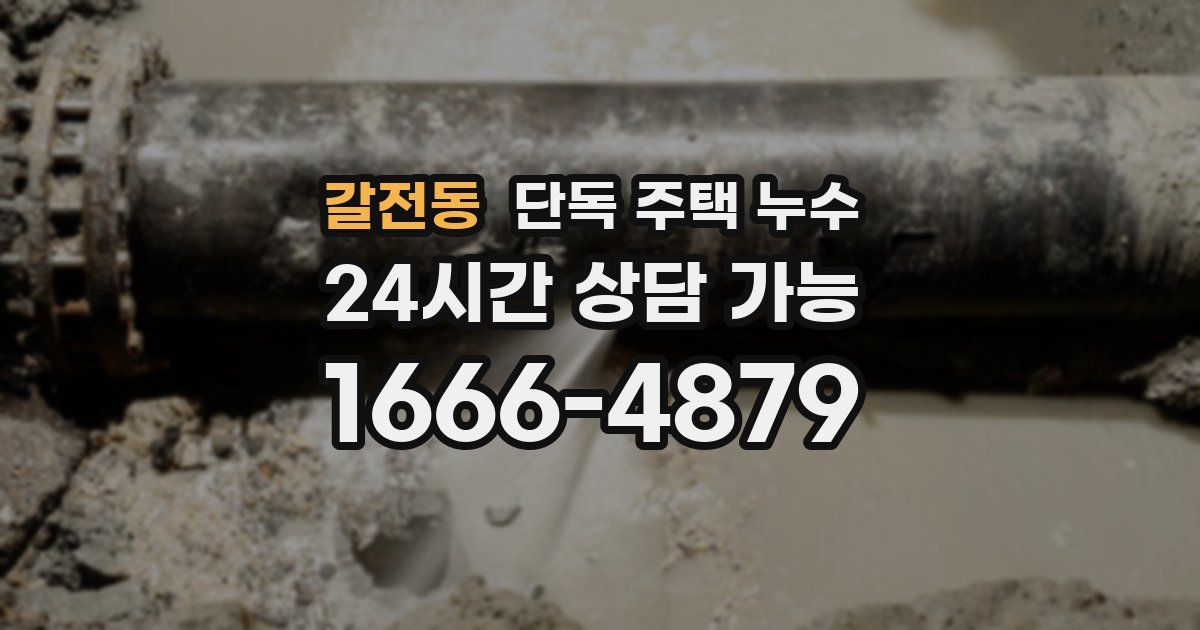 갈전동 단독 주택 누수