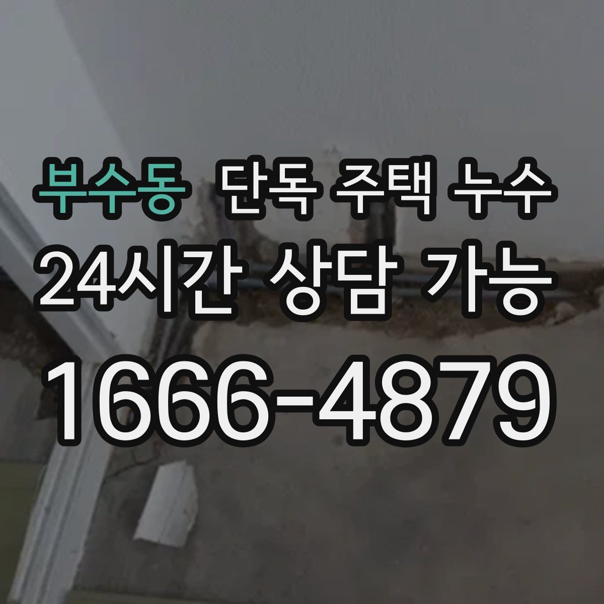 부수동 단독 주택 누수