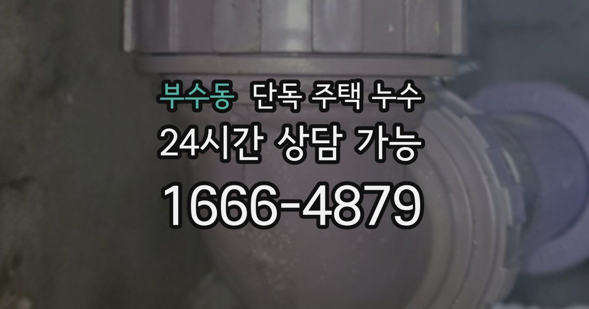 부수동 단독 주택 누수