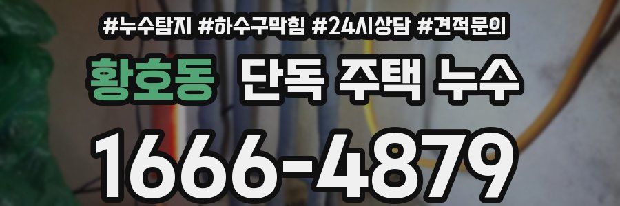 황호동 단독 주택 누수