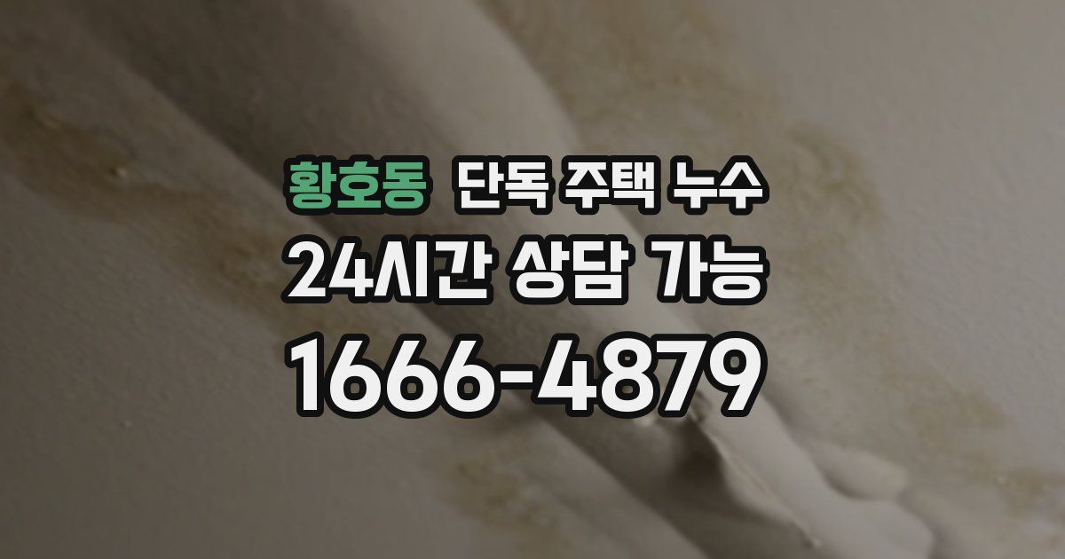 황호동 단독 주택 누수