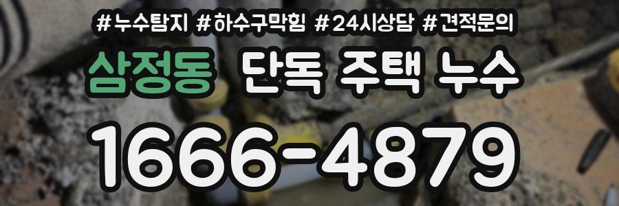 삼정동 단독 주택 누수