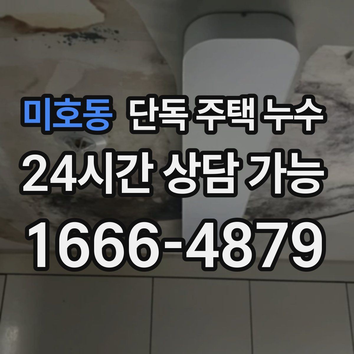 미호동 단독 주택 누수 냄새가 올라올 때 배관 누수 가능성