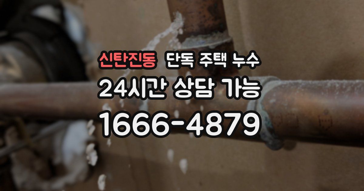 신탄진동 단독 주택 누수