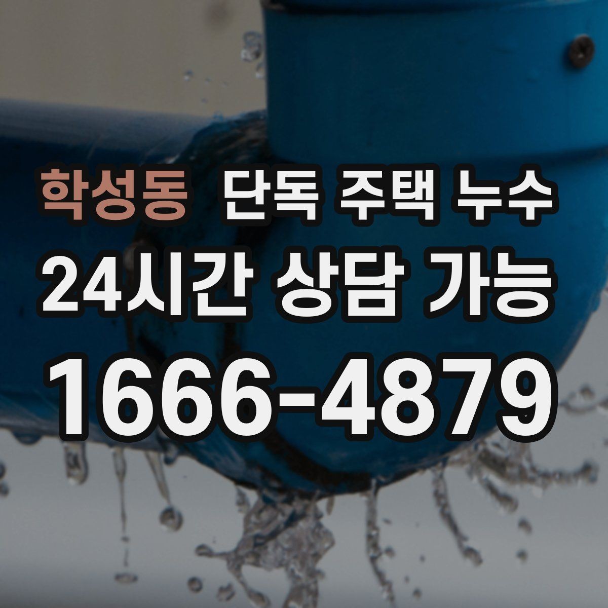 학성동 단독 주택 누수 빗물받이 주변 점검해야 하는 이유