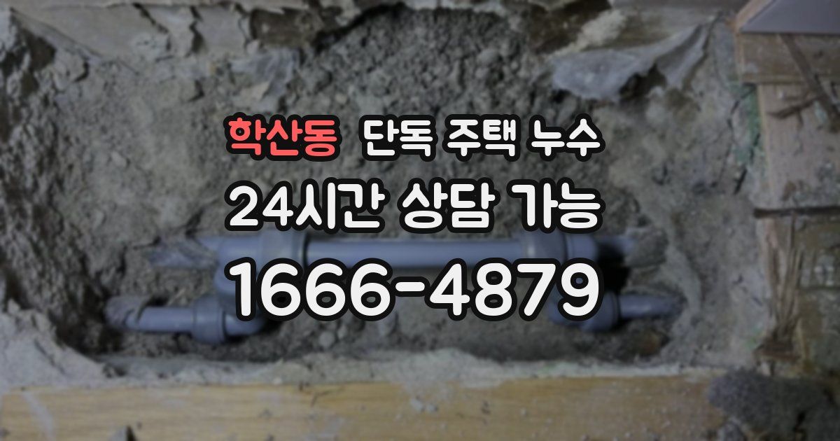 학산동 단독 주택 누수