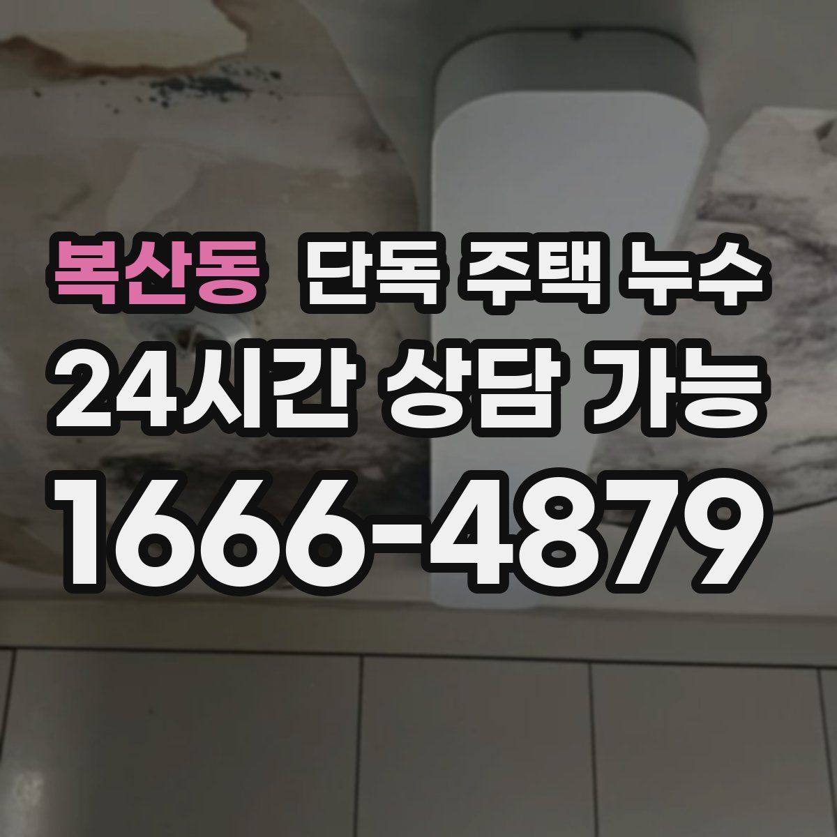 복산동 단독 주택 누수