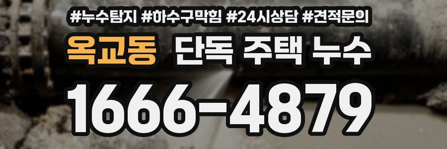 옥교동 단독 주택 누수