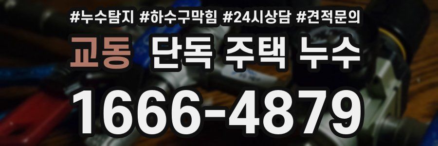 교동 단독 주택 누수