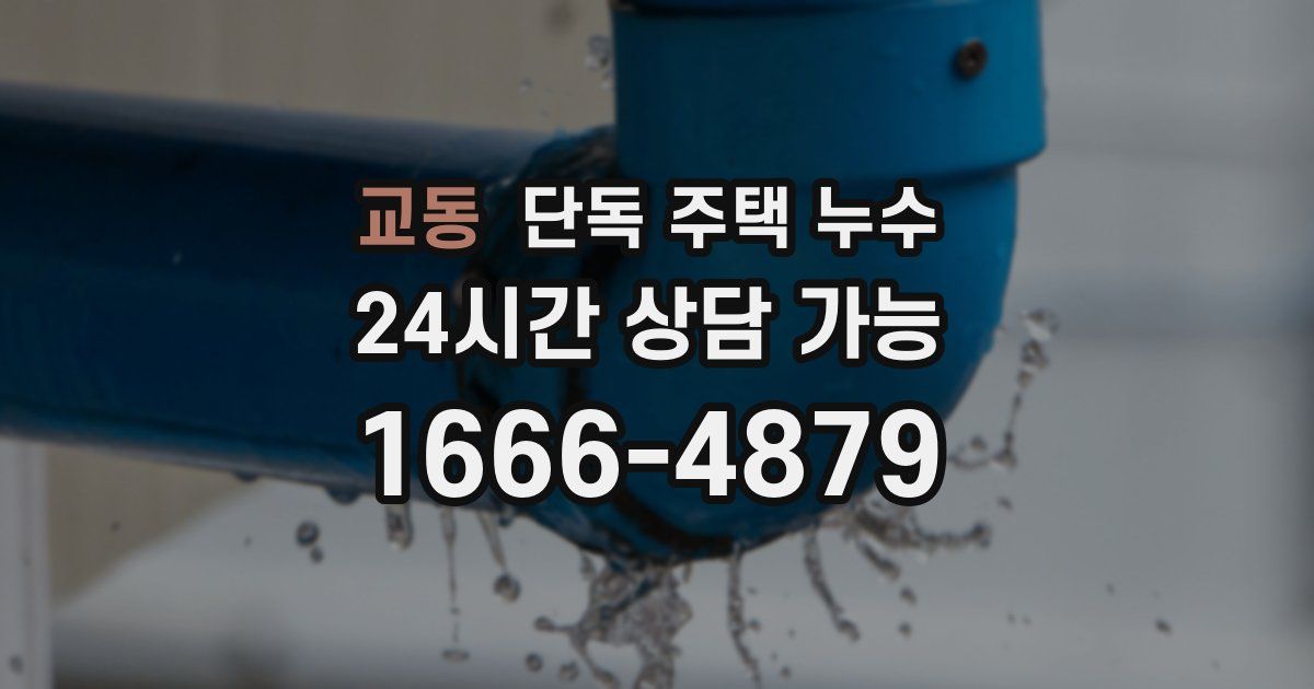 교동 단독 주택 누수