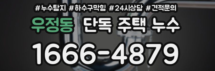 우정동 단독 주택 누수