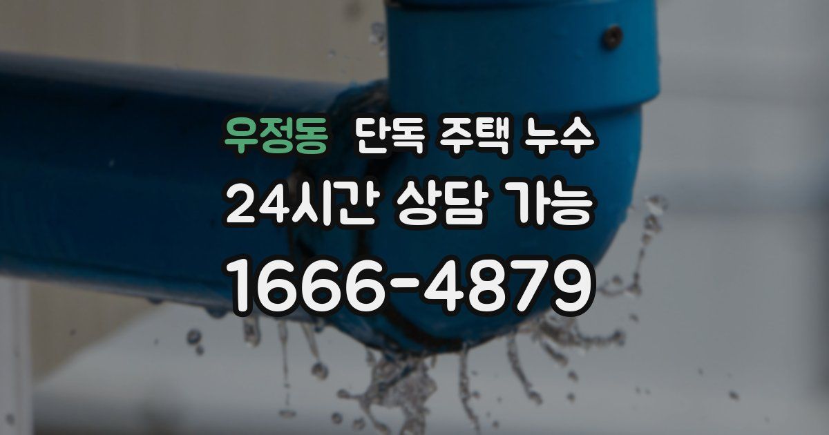 우정동 단독 주택 누수