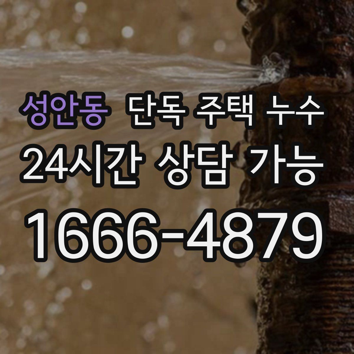 성안동 단독 주택 누수 벽 안쪽 물소리 들릴 때 의심할 것