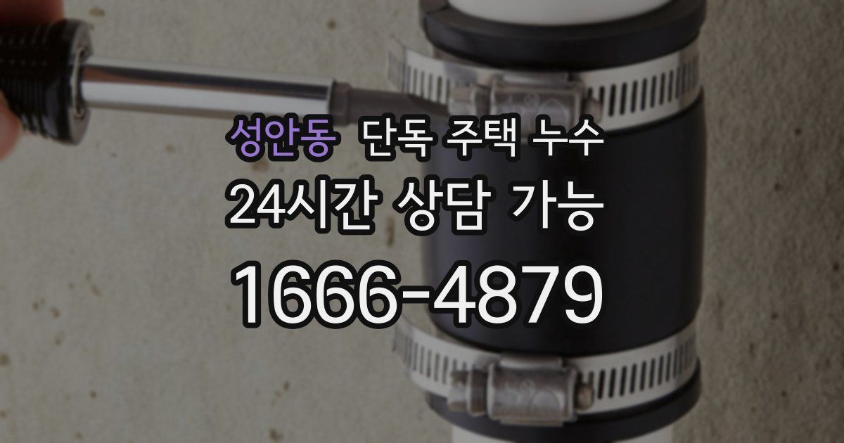 성안동 단독 주택 누수