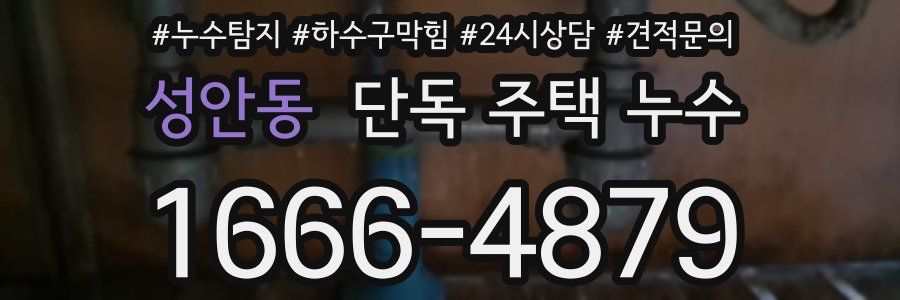 성안동 단독 주택 누수