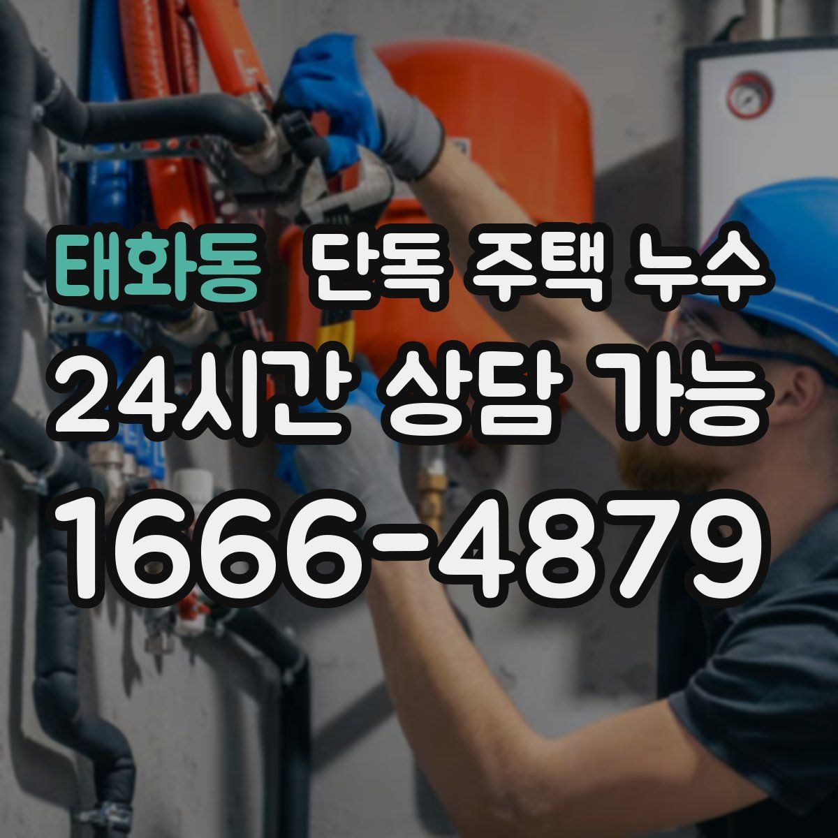 태화동 단독 주택 누수