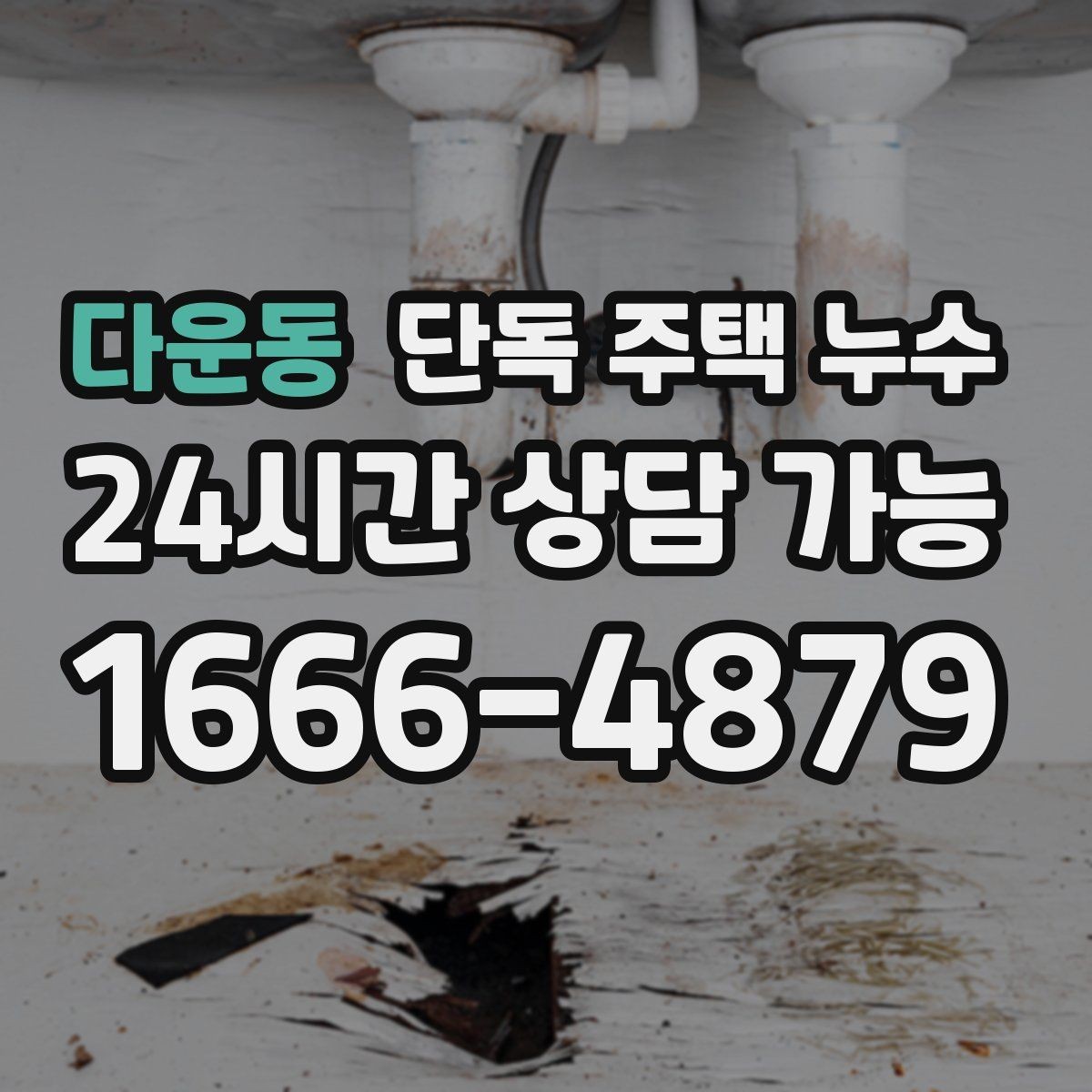 다운동 단독 주택 누수 원인별로 달라지는 물자국 패턴 정리