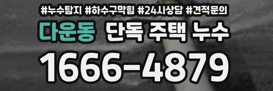 다운동 단독 주택 누수