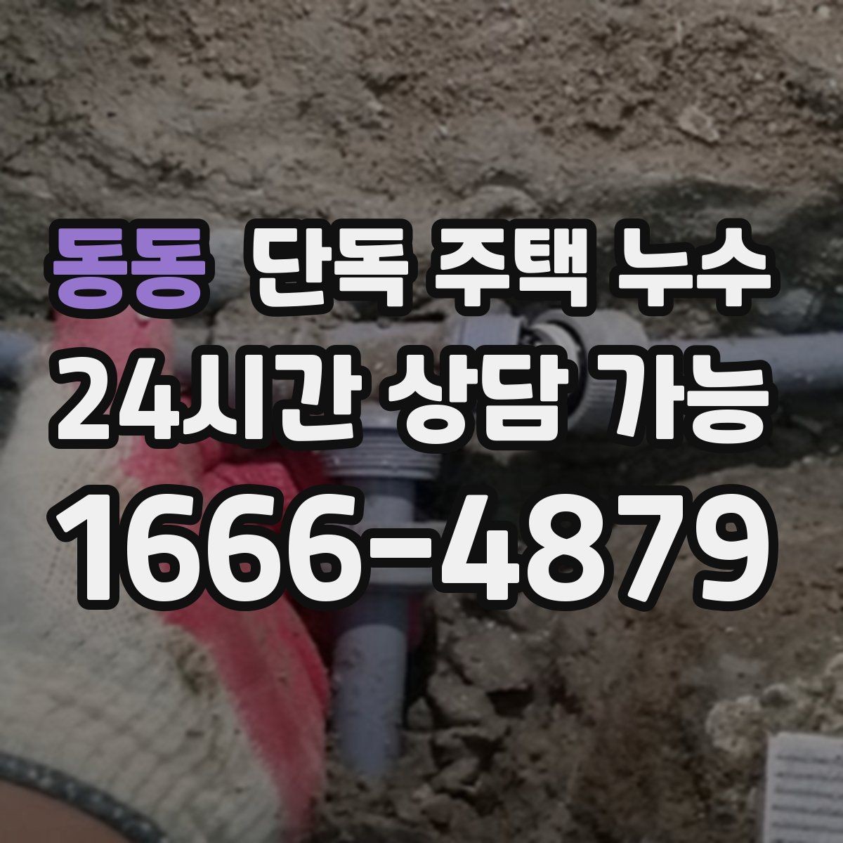 동동 단독 주택 누수 수리 후에도 냄새가 남을 때 점검 포인트