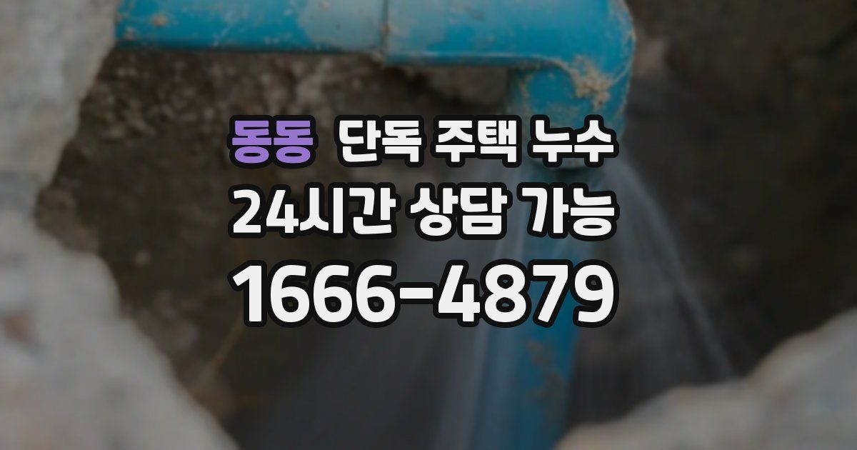 동동 단독 주택 누수
