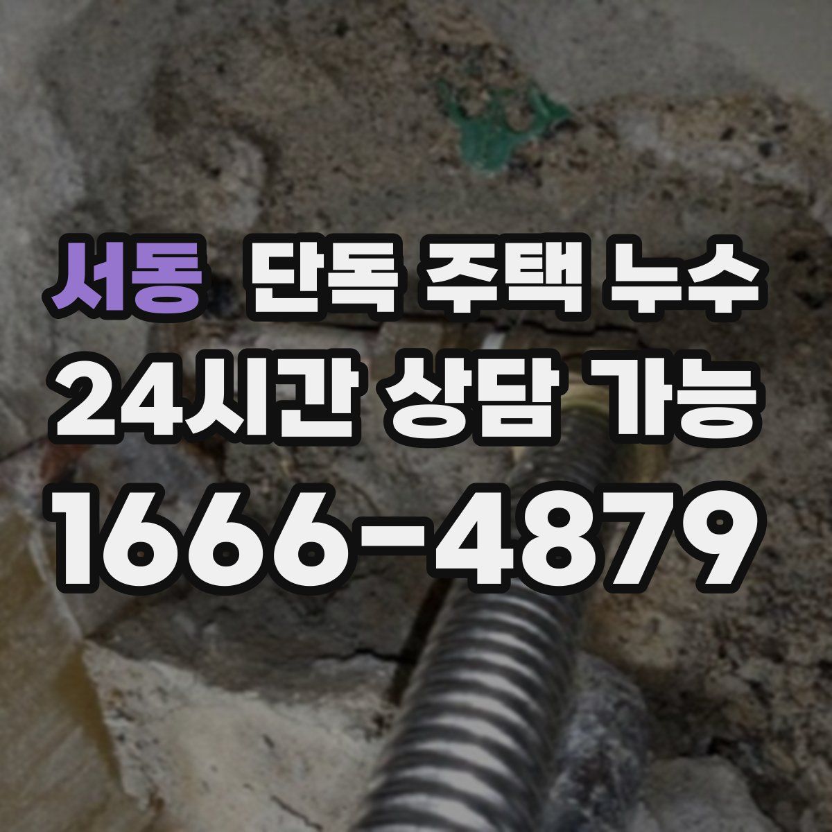 서동 단독 주택 누수