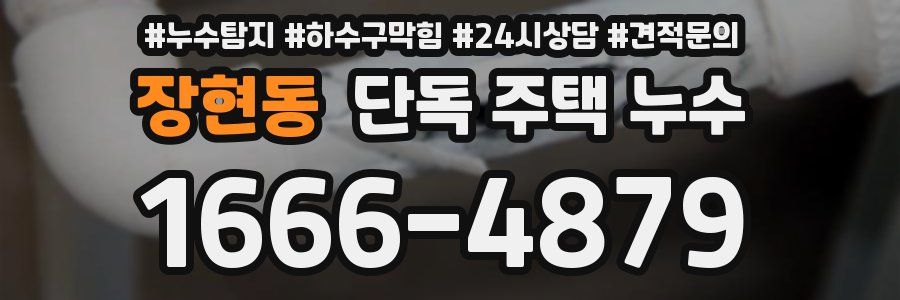 장현동 단독 주택 누수