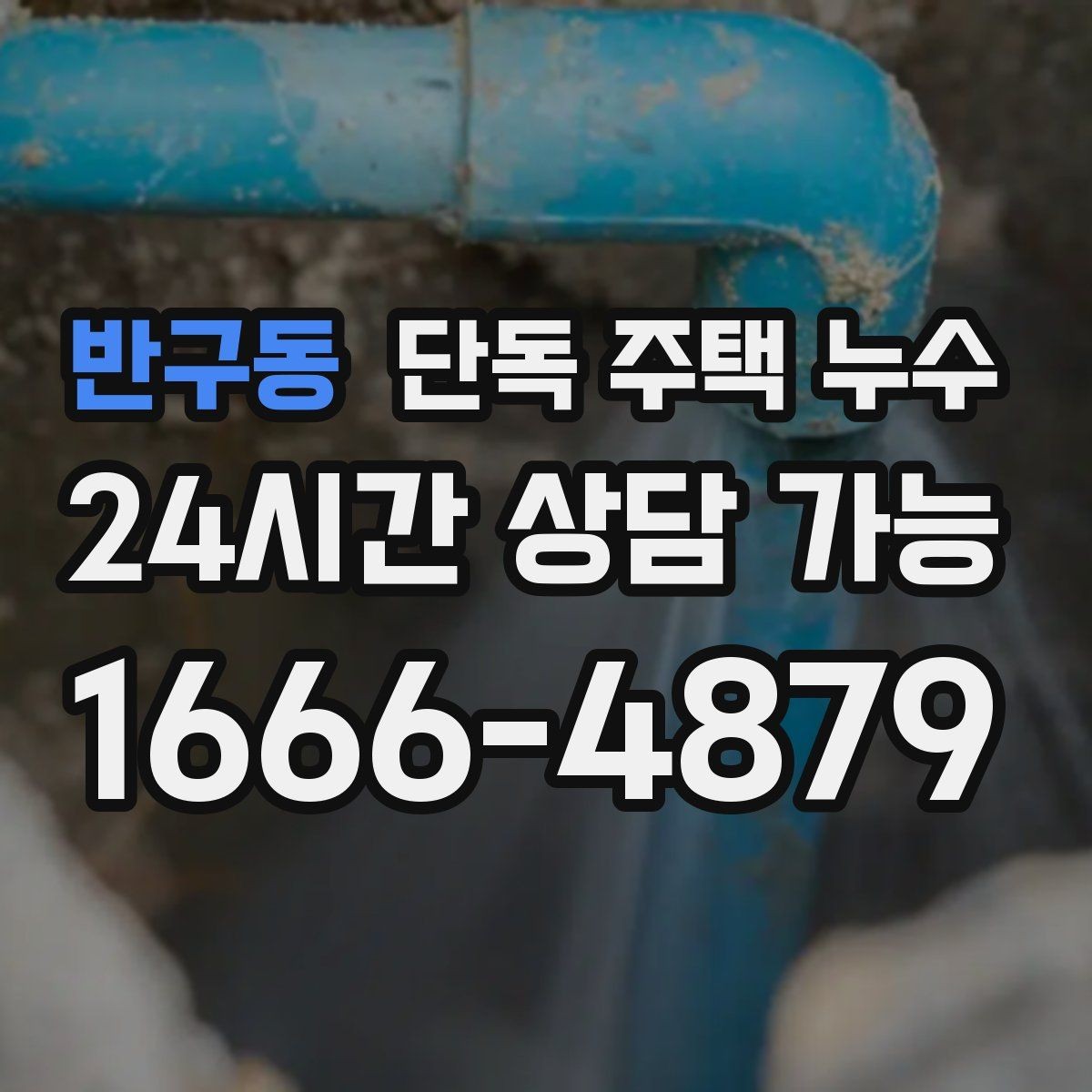 반구동 단독 주택 누수 벽 하부 페인트가 벗겨질 때 원인