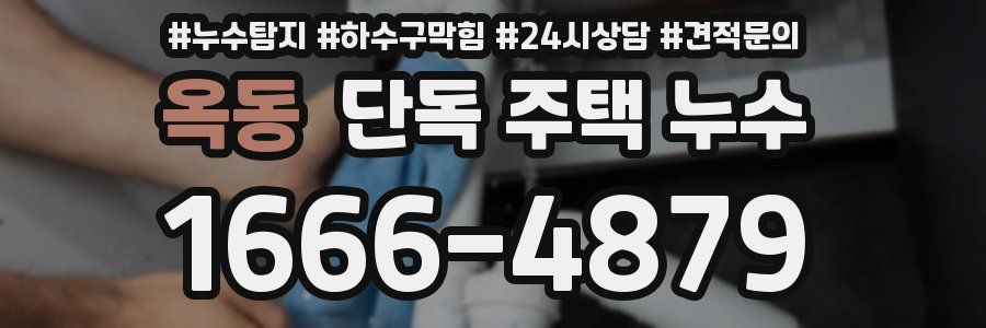 옥동 단독 주택 누수