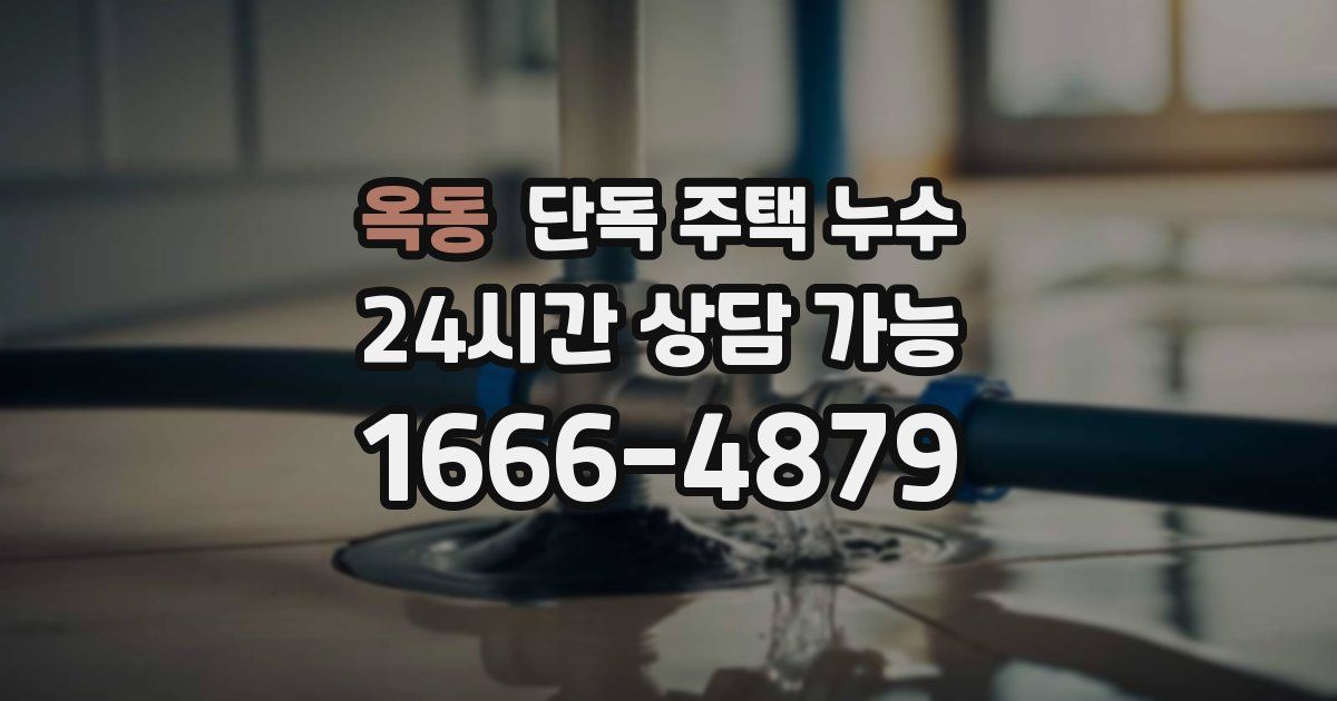옥동 단독 주택 누수