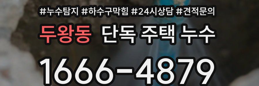 두왕동 단독 주택 누수